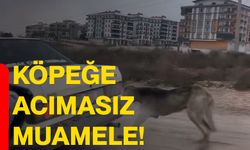 Köpeğe acımasız muamele!