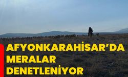 Afyonkarahisar’da meralar denetleniyor