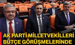 AK Parti Milletvekilleri Bütçe Görüşmelerinde
