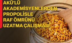 AKÜ’lü Akademisyenlerden Propolisle Raf Ömrünü Uzatma Çalışması