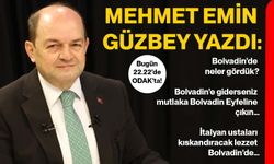 Mehmet Emin Güzbey yazdı: Bolvadin’de neler gördük?
