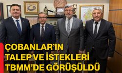 Çobanlar’ın Talep ve İstekleri TBMM’de Görüşüldü