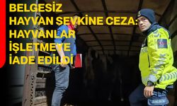 Belgesiz hayvan sevkine ceza: Hayvanlar işletmeye iade edildi