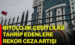 Biyolojik Çeşitliliği Tahrip Edenlere Rekor Ceza Artışı