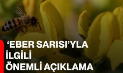 ‘Eber Sarısı’yla ilgili önemli açıklama