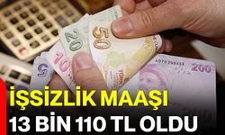 En Düşük İşsizlik Maaşı 13 Bin 110 TL Oldu