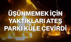 Üşünmemek İçin Yaktıkları Ateş Parkı Küle Çevirdi