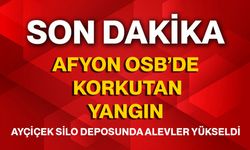 Afyon OSB’de korkutan yangın, Ayçiçek silo deposunda alevler yükseldi!