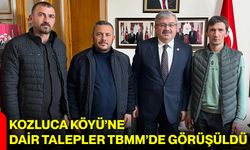 Kozluca Köyü’ne Dair Talepler TBMM’de Görüşüldü