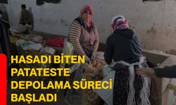 Hasadı biten patateste depolama süreci başladı