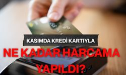 Kasımda kredi kartıyla ne kadar harcama yapıldı?