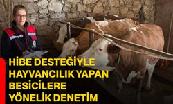 Hibe desteğiyle hayvancılık yapan besicilere yönelik denetim