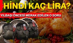 Hindi Kaç Lira? Yılbaşı Öncesi Merak Edilen O Soru