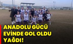 Anadolu Gücü evinde gol oldu yağdı!