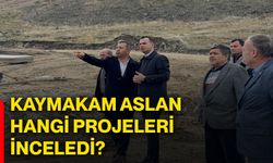 Kaymakam Aslan, hangi projeleri inceledi?