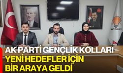 AK Parti Gençlik Kolları Yeni Hedefler İçin Bir Araya Geldi