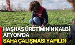 Haşhaş Üretiminin Kalbi Afyon’da Saha Çalışması Yapıldı