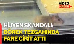 Hijyen Skandalı: Börek Tezgahında Fare Cirit Attı