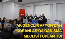 AK Gençlik Afyon’dan Çobanlar’da Danışma Meclisi Toplantısı