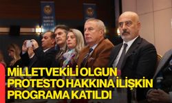 Milletvekili Olgun, Protesto Hakkına İlişkin Programa Katıldı