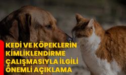 Kedi ve köpeklerin kimliklendirme çalışmasıyla ilgili önemli açıklama