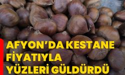 Afyon’da kestane fiyatıyla yüzleri güldürdü