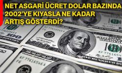 Net asgari ücret dolar bazında 2002’ye kıyasla ne kadar artış gösterdi?