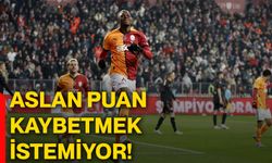 Aslan puan kaybetmek istemiyor!