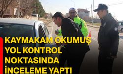 Kaymakam Okumuş yol kontrol noktasında inceleme yaptı