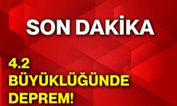 4.2 büyüklüğünde deprem!