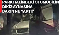 Park Halindeki Otomobilin Dikiz Aynasına bakın ne yaptı?