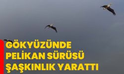 Gökyüzünde Pelikan Sürüsü Şaşkınlık Yarattı
