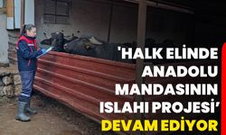 'Halk Elinde Anadolu Mandasının Islahı Projesi’ devam ediyor