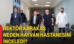 Rektör Karakaş Neden Hayvan Hastanesini İnceledi?
