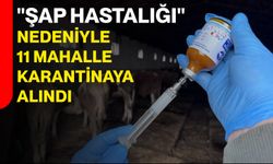 "Şap Hastalığı" Nedeniyle 11 Mahalle Karantinaya Alındı