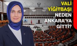 Vali Yiğitbaşı Neden Ankara’ya Gitti?