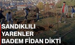 Sandıklılı yarenler badem fidan dikti