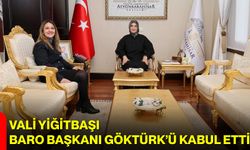 Vali Yiğitbaşı, Baro Başkanı Göktürk’ü Kabul Etti
