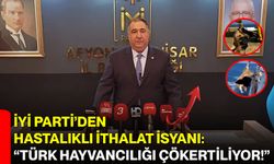 İYİ Parti’den Hastalıklı İthalat İsyanı: “Türk Hayvancılığı Çökertiliyor!”