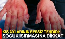 Kış Aylarının Sessiz Tehdidi: Soğuk Isırmasına Dikkat!