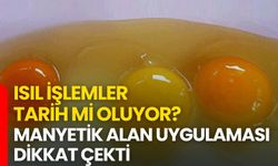 Isıl İşlemler Tarih mi Oluyor? Manyetik Alan Uygulaması Dikkat Çekti
