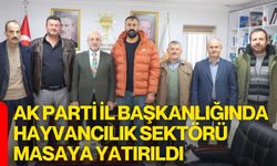 AK Parti İl Başkanlığında Hayvancılık Sektörü Masaya Yatırıldı