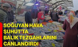 Soğuyan hava Şuhut’ta balık tezgahlarını canlandırdı