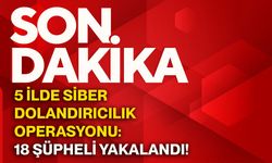 5 ilde siber dolandırıcılık operasyonu: 18 şüpheli yakalandı!