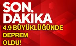 4.9 büyüklüğünde deprem oldu!