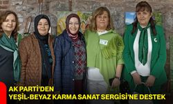 AK Parti’den Yeşil-Beyaz Karma Sanat Sergisi’ne Destek