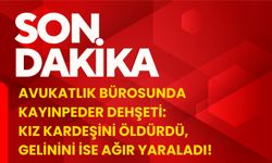 Avukatlık Bürosunda Kayınpeder Dehşeti: Kız Kardeşini Öldürdü, Gelinini İse Ağır Yaraladı!