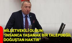 Milletvekili Olgun: “İnsanca Yaşamak Bir Talep Değil, Doğuştan Haktır”