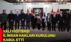 Vali Yiğitbaşı, İl İnsan Hakları Kurulunu Kabul Etti