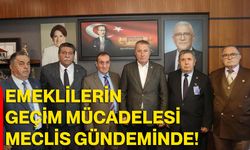 Emeklilerin Geçim Mücadelesi Meclis Gündeminde!